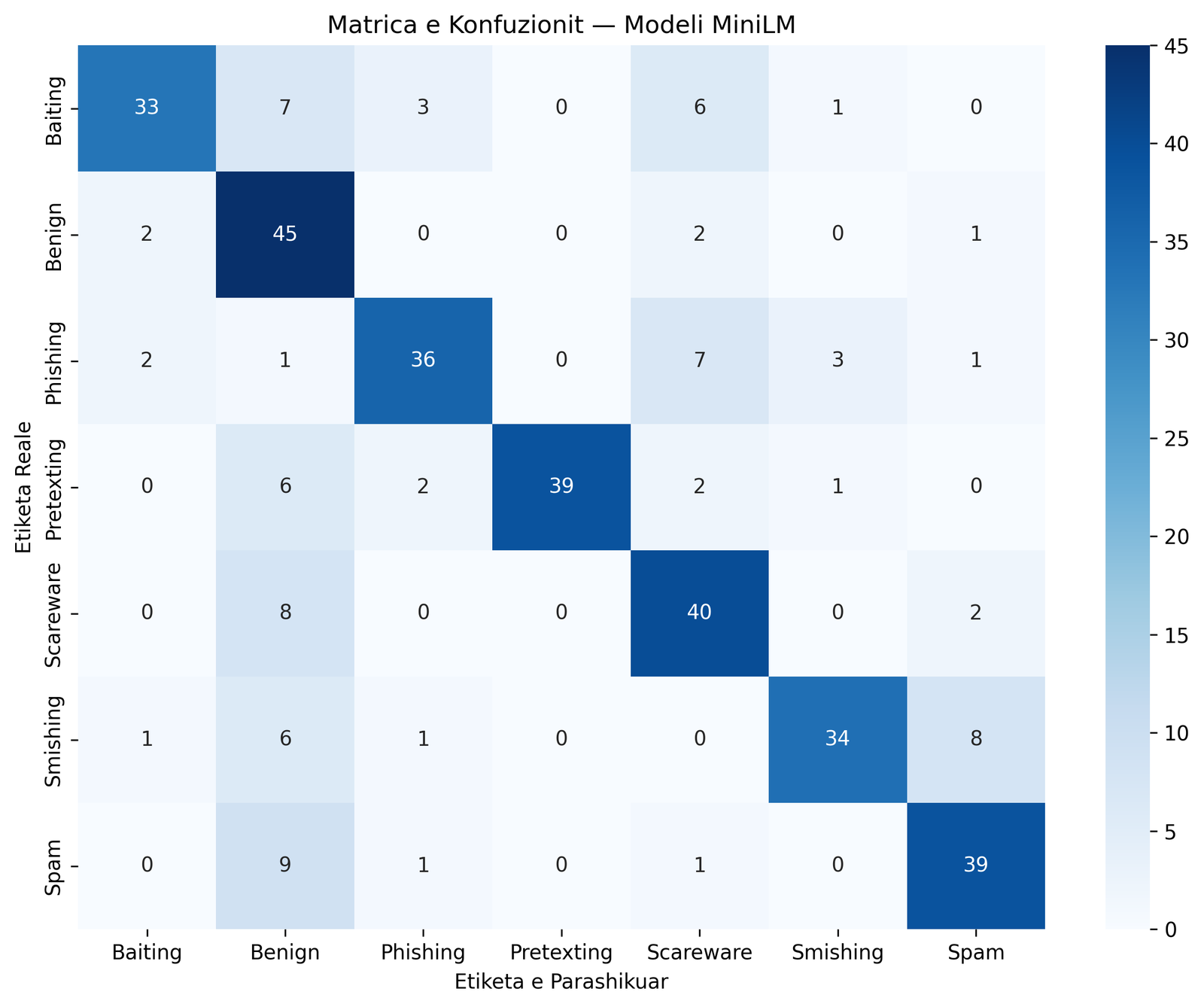 Matrica e Konfuzionit - MiniLM